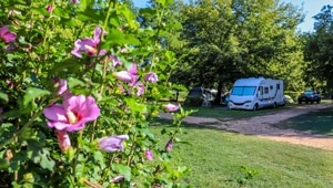 camping falaise dordogne