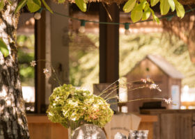 bar piscine sous les arbres